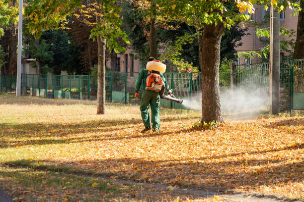 Best Bed Bug Extermination  in Idaho Springs, CO